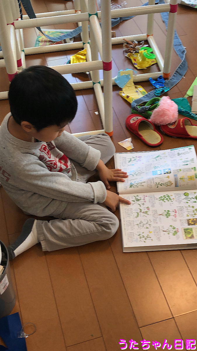 f:id:utachan0831:20210526113005j:plain