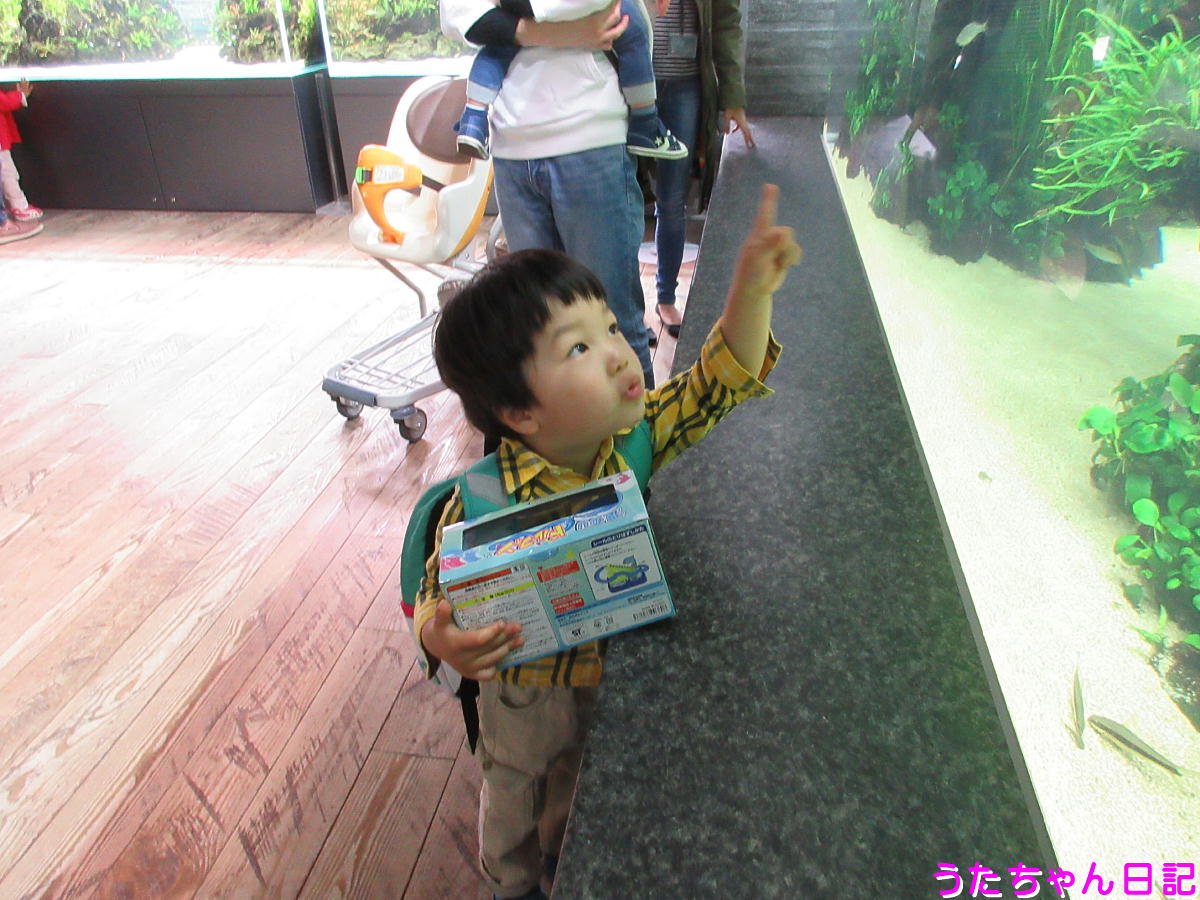 f:id:utachan0831:20210528044335j:plain