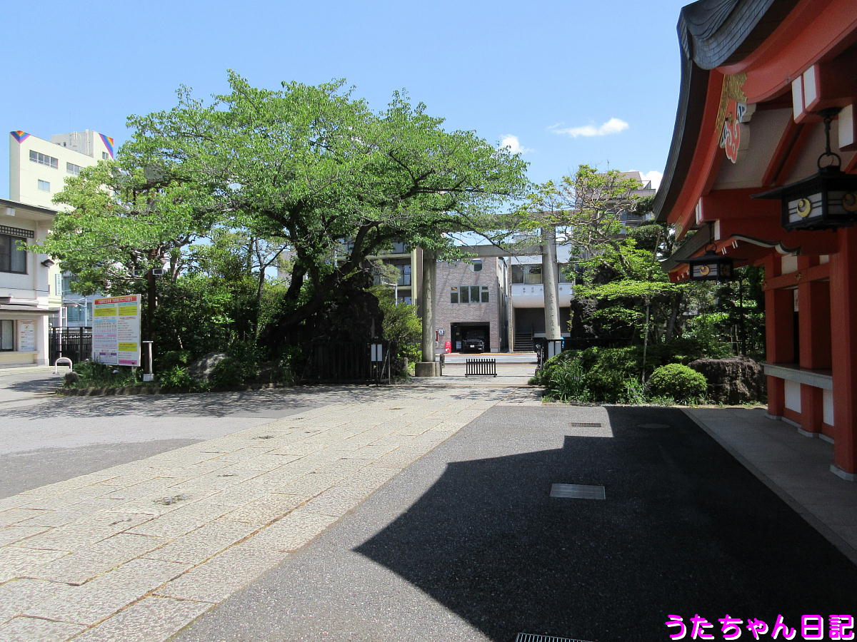 千葉神社へ健康祈願 千葉県千葉市中央区院内 うたちゃん日記