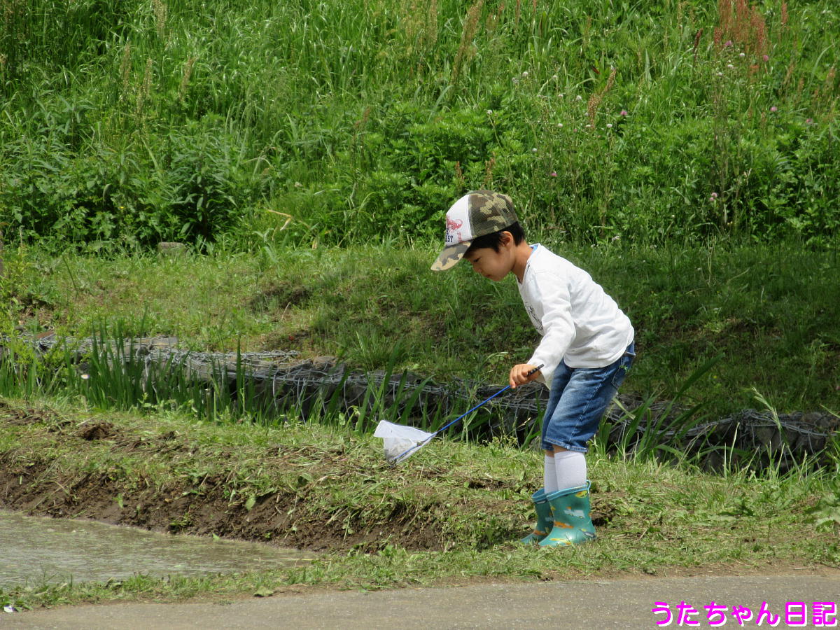 f:id:utachan0831:20210626223102j:plain