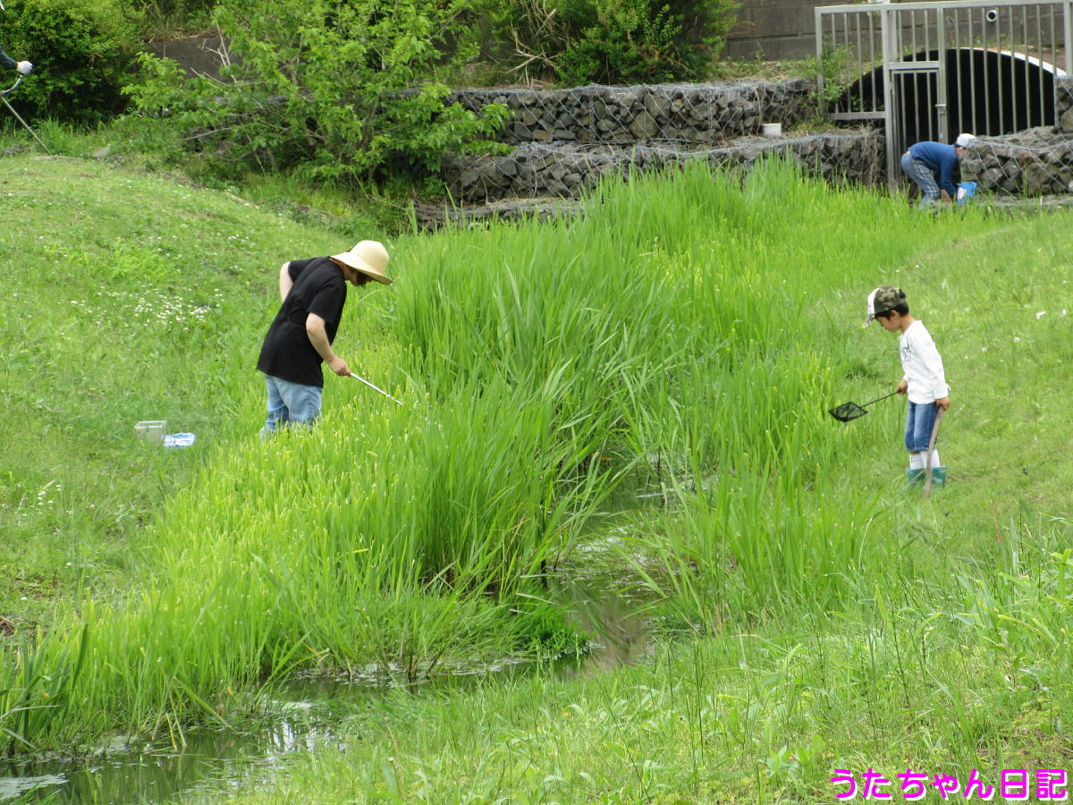 f:id:utachan0831:20210626223123j:plain