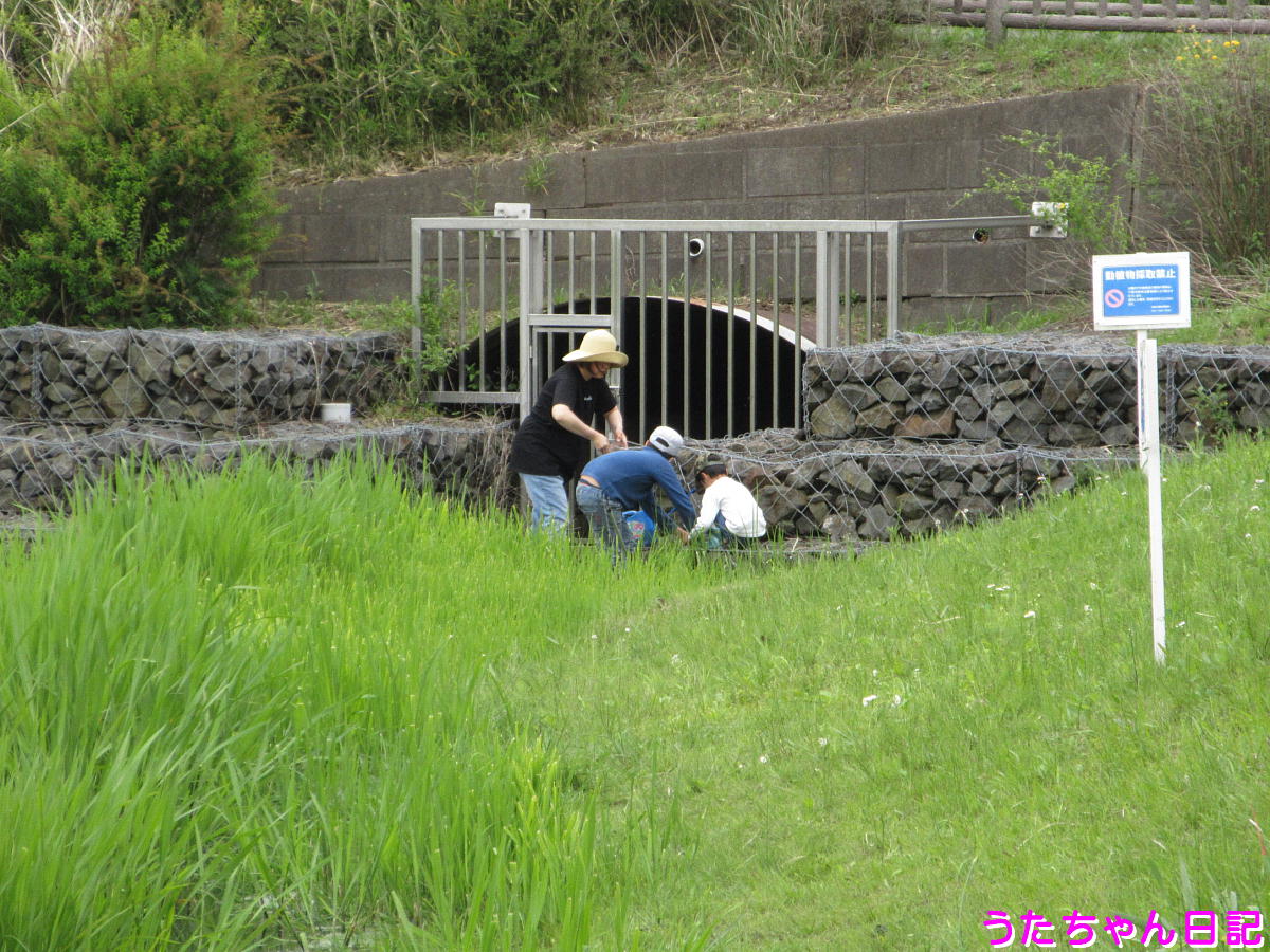 f:id:utachan0831:20210626223134j:plain