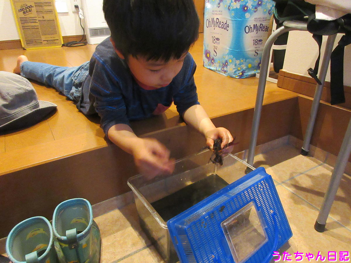 f:id:utachan0831:20210626223205j:plain