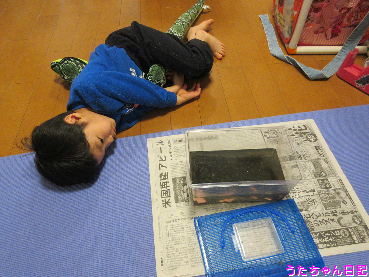 f:id:utachan0831:20210626223215j:plain