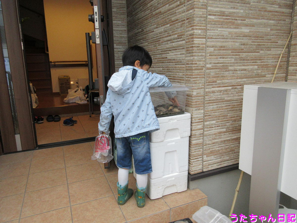 f:id:utachan0831:20210628163014j:plain