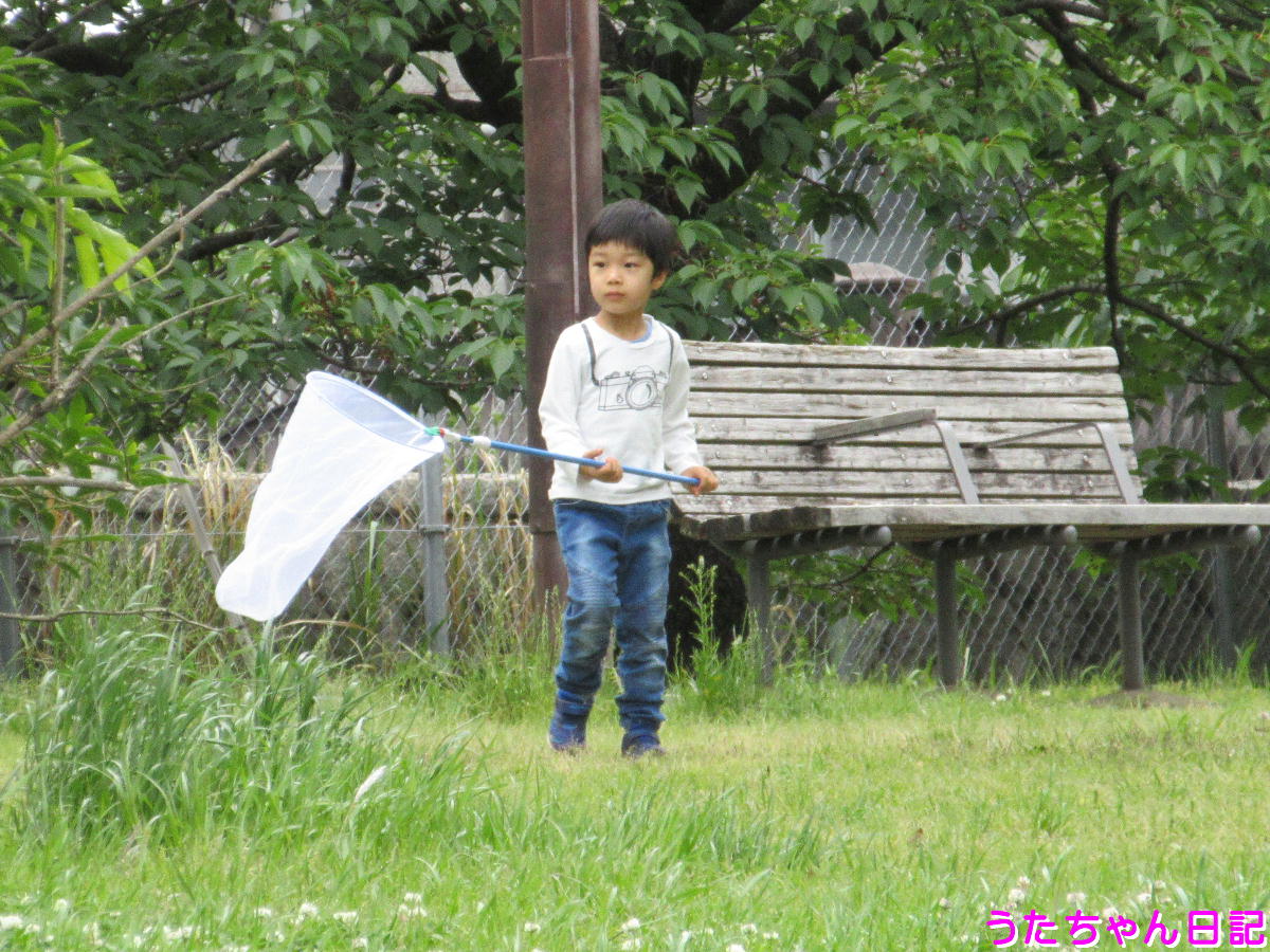 f:id:utachan0831:20210704213408j:plain