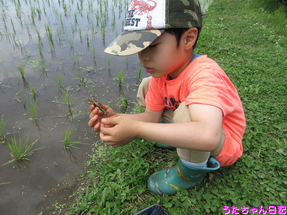 f:id:utachan0831:20210706005935j:plain