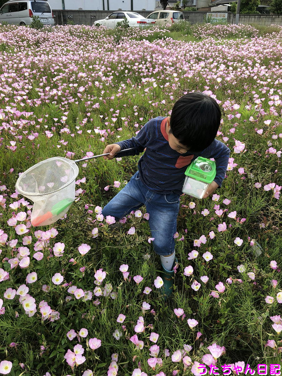 f:id:utachan0831:20210706005943j:plain