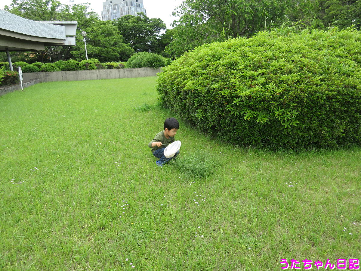 f:id:utachan0831:20210706202055j:plain