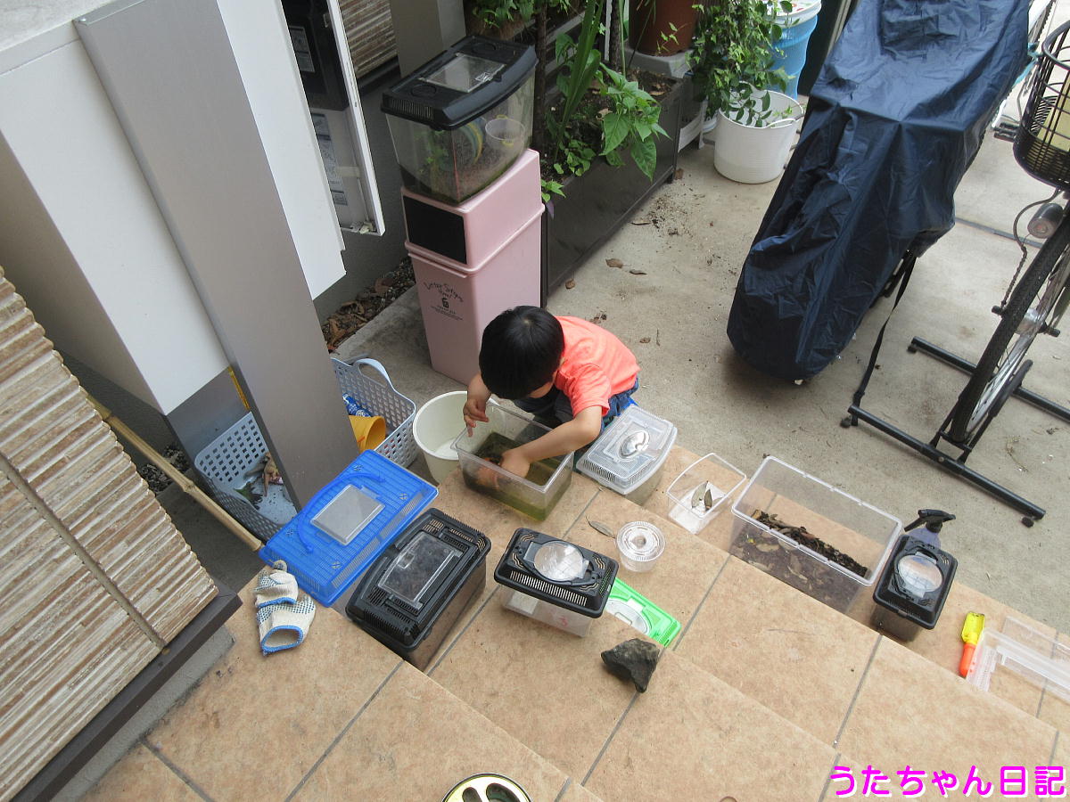 f:id:utachan0831:20210708203000j:plain