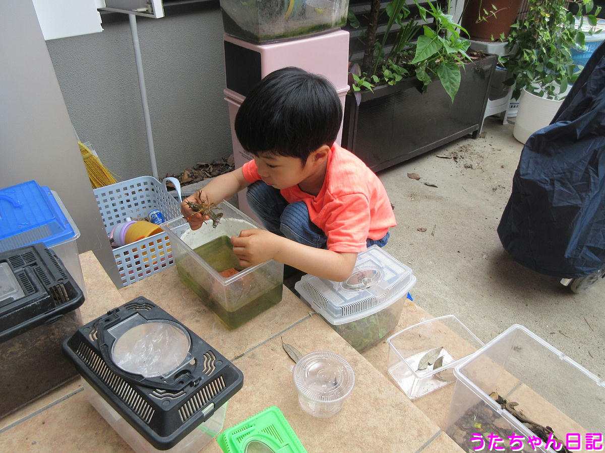 f:id:utachan0831:20210708203010j:plain