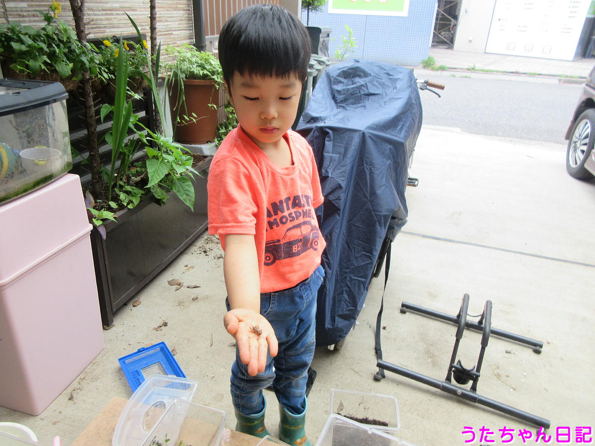 f:id:utachan0831:20210708203105j:plain