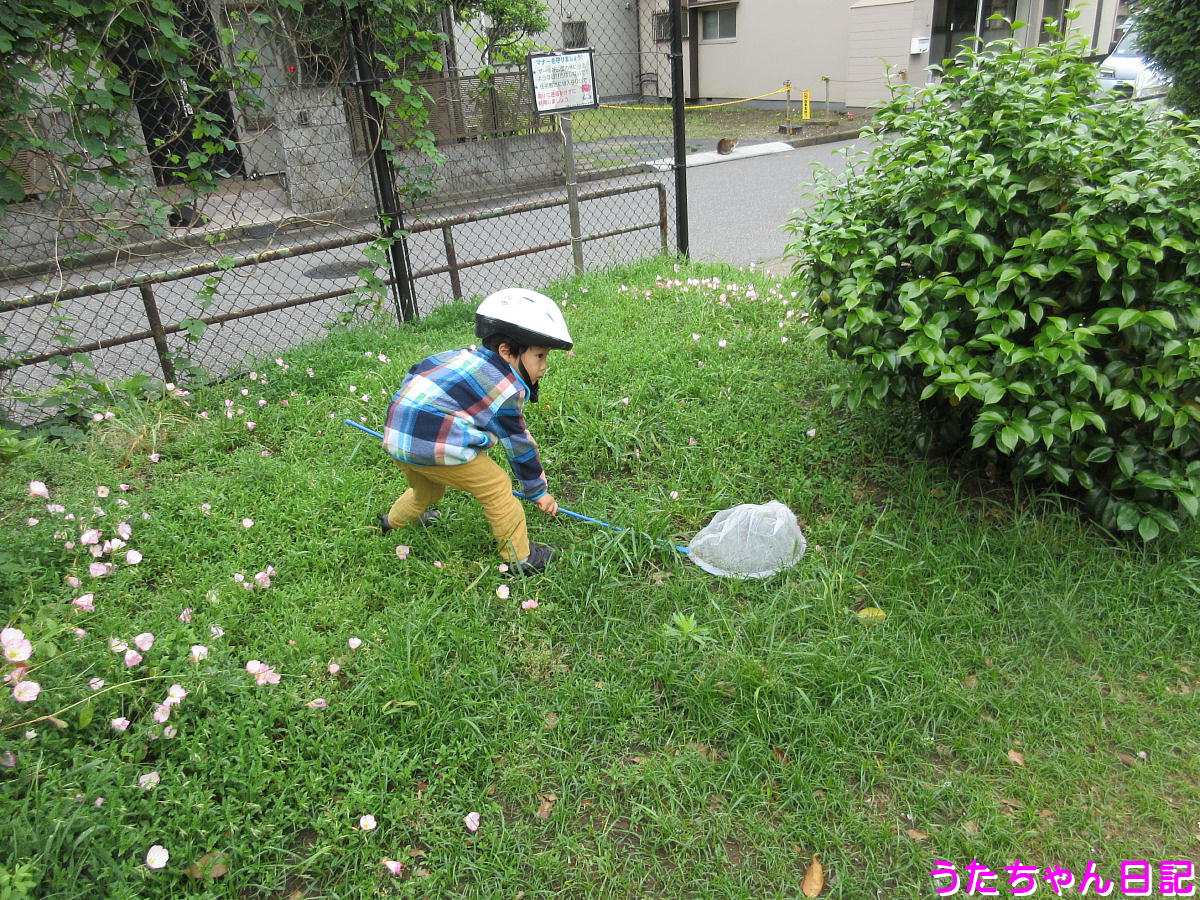 f:id:utachan0831:20210712222424j:plain