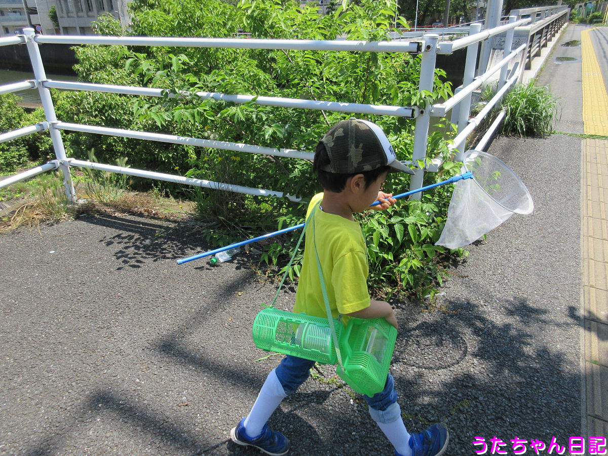 f:id:utachan0831:20210715210714j:plain