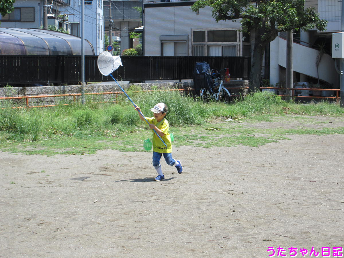 f:id:utachan0831:20210715210724j:plain