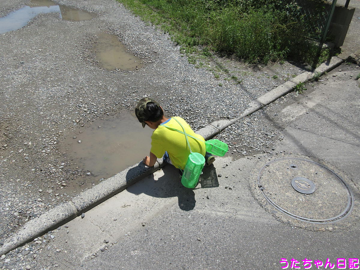 f:id:utachan0831:20210715210744j:plain