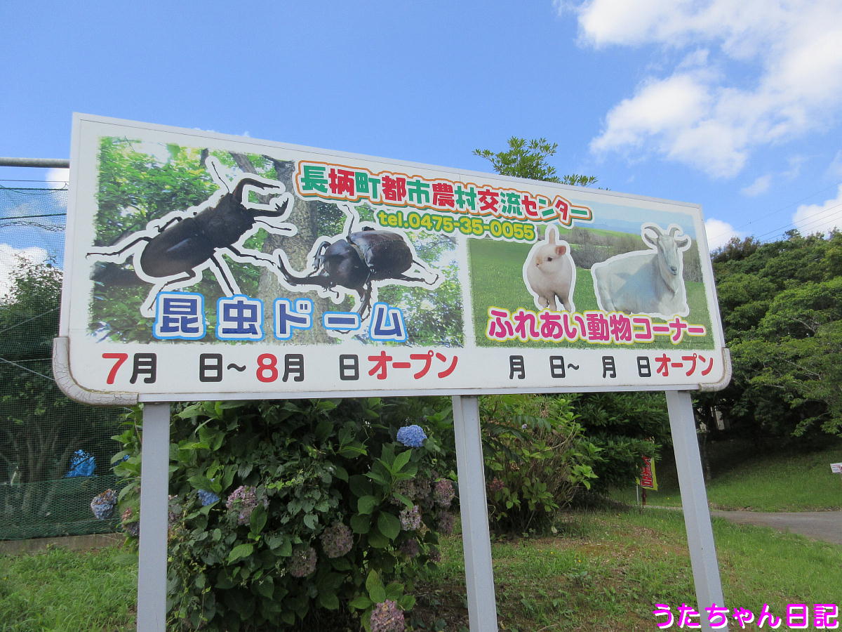 f:id:utachan0831:20210724225647j:plain