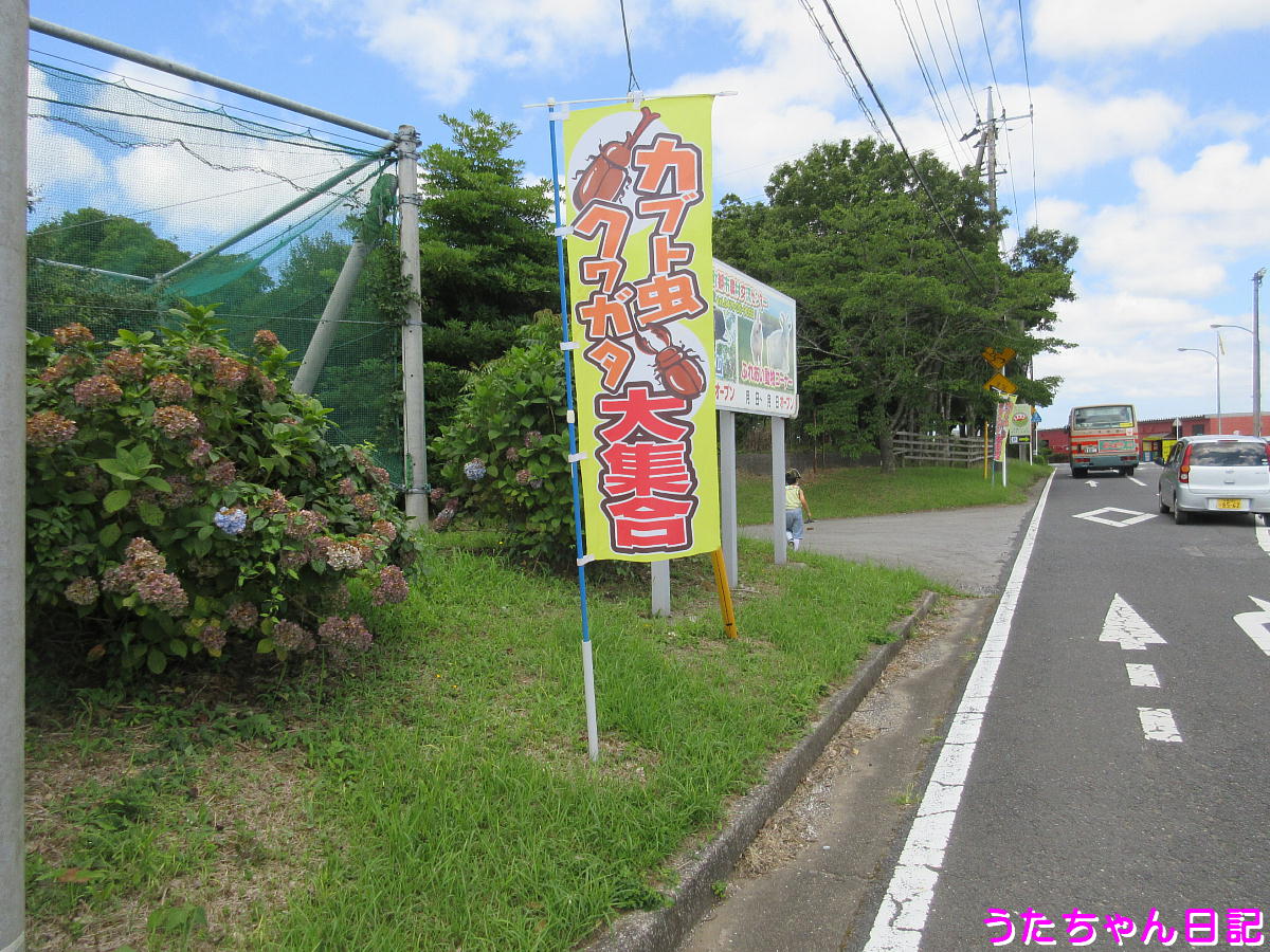 f:id:utachan0831:20210724225657j:plain