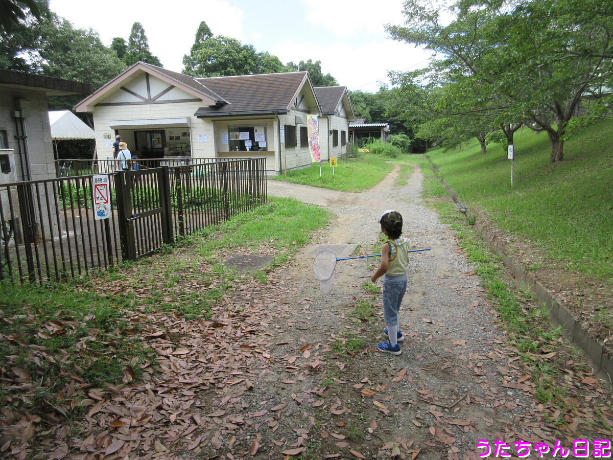 f:id:utachan0831:20210724225707j:plain