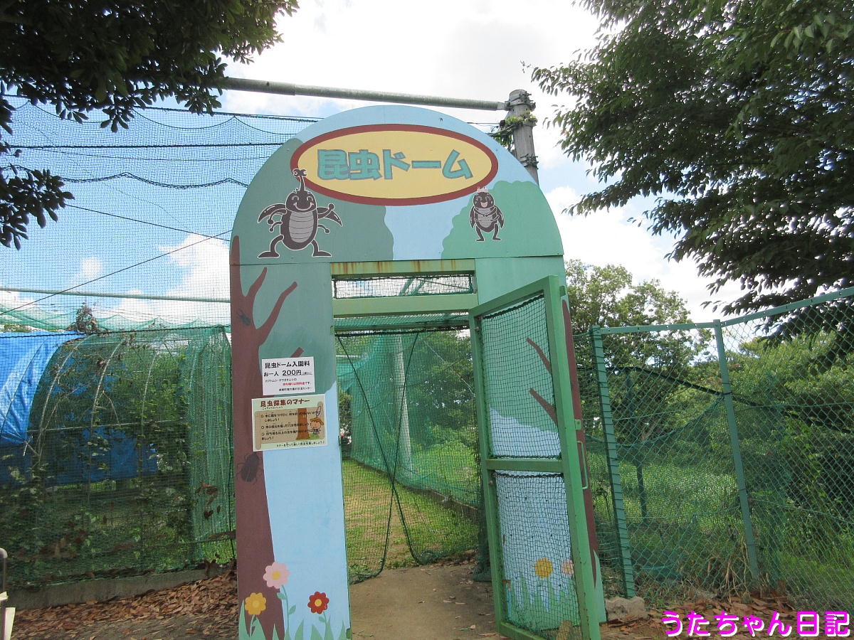 f:id:utachan0831:20210724225718j:plain