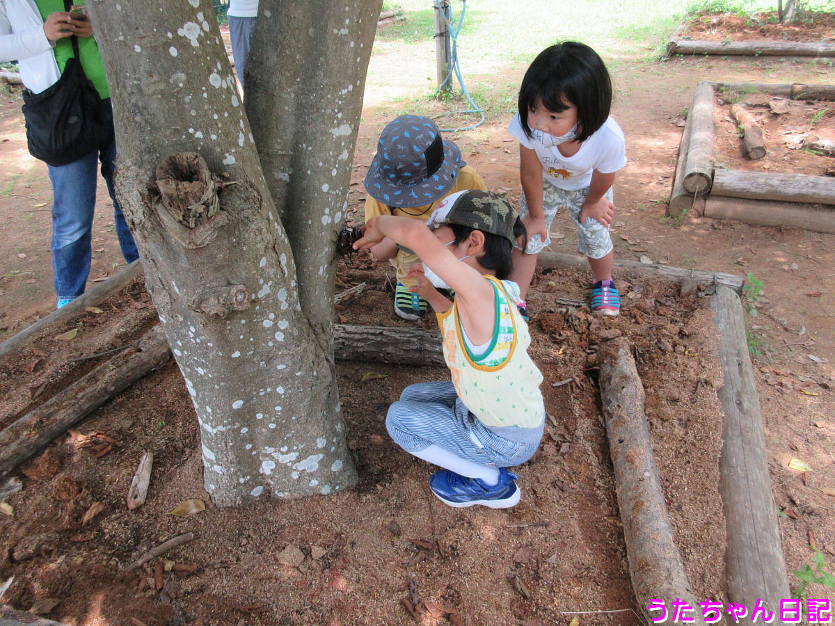 f:id:utachan0831:20210724225728j:plain