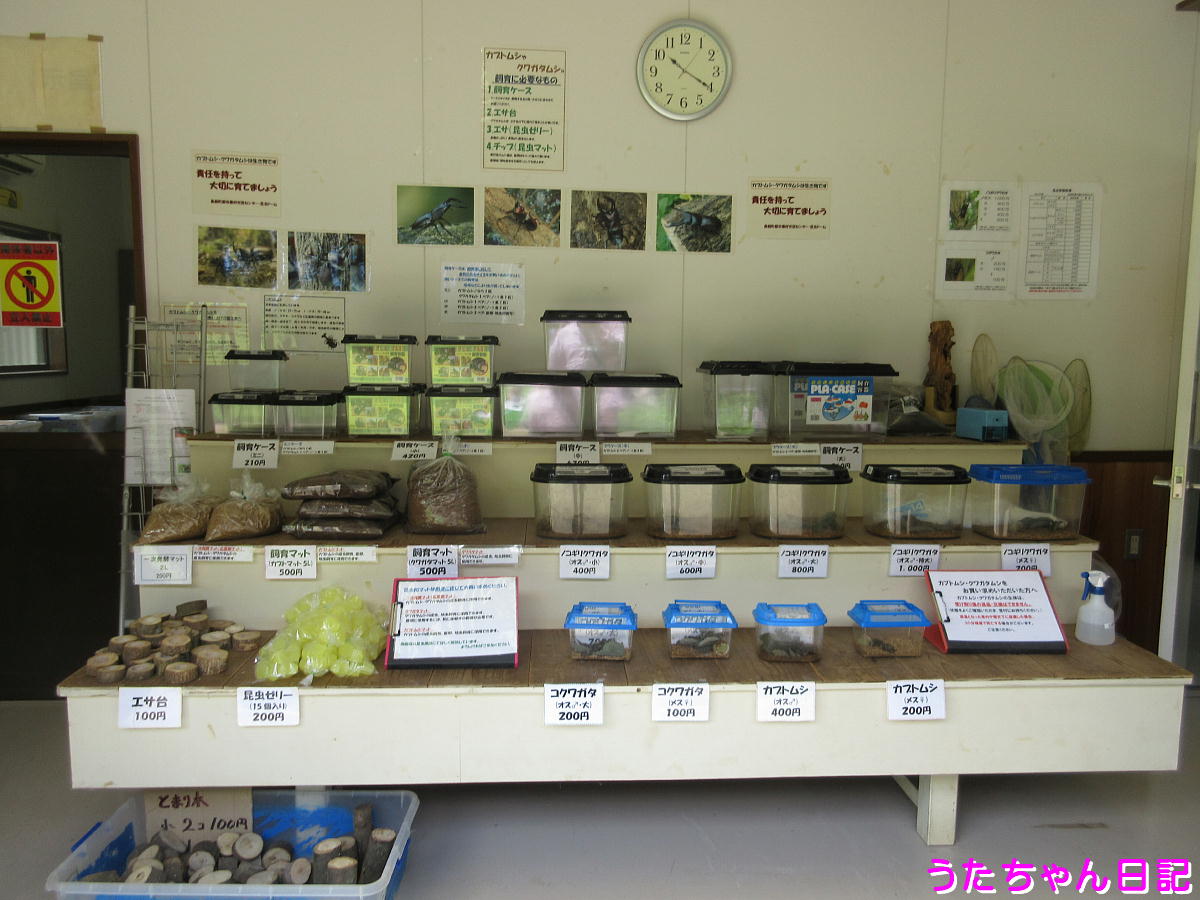 f:id:utachan0831:20210724225810j:plain