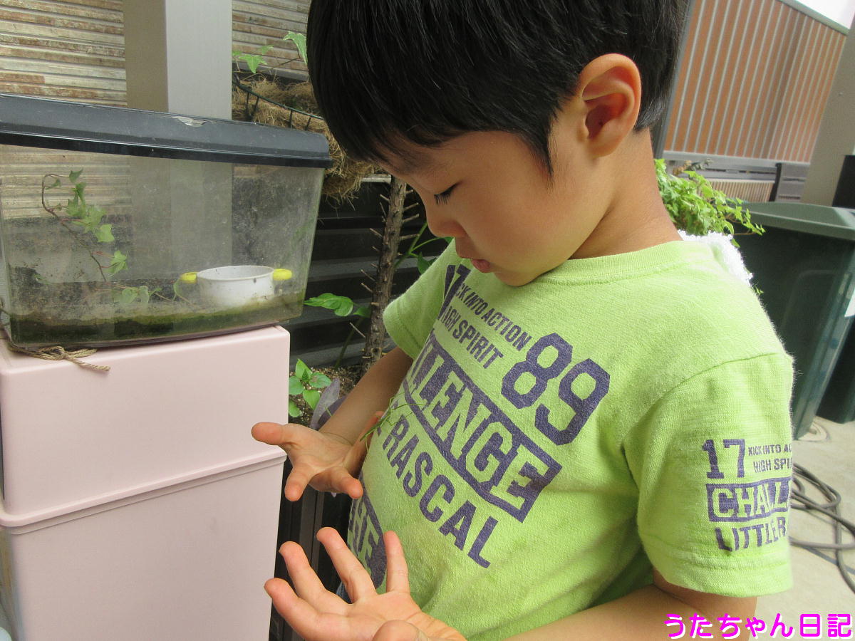 f:id:utachan0831:20210728234634j:plain