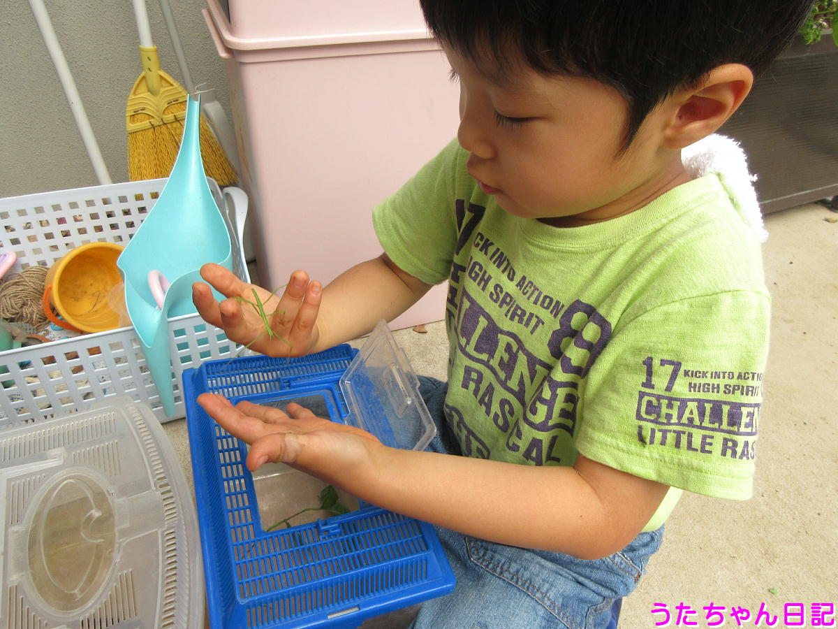 f:id:utachan0831:20210802091546j:plain