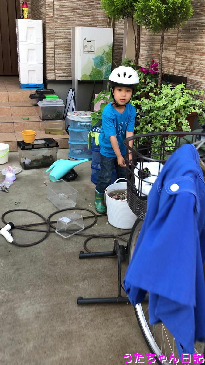 f:id:utachan0831:20210802091606j:plain