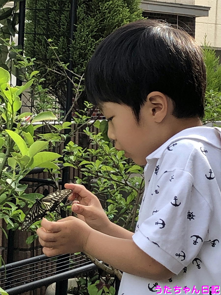 f:id:utachan0831:20210803025106j:plain