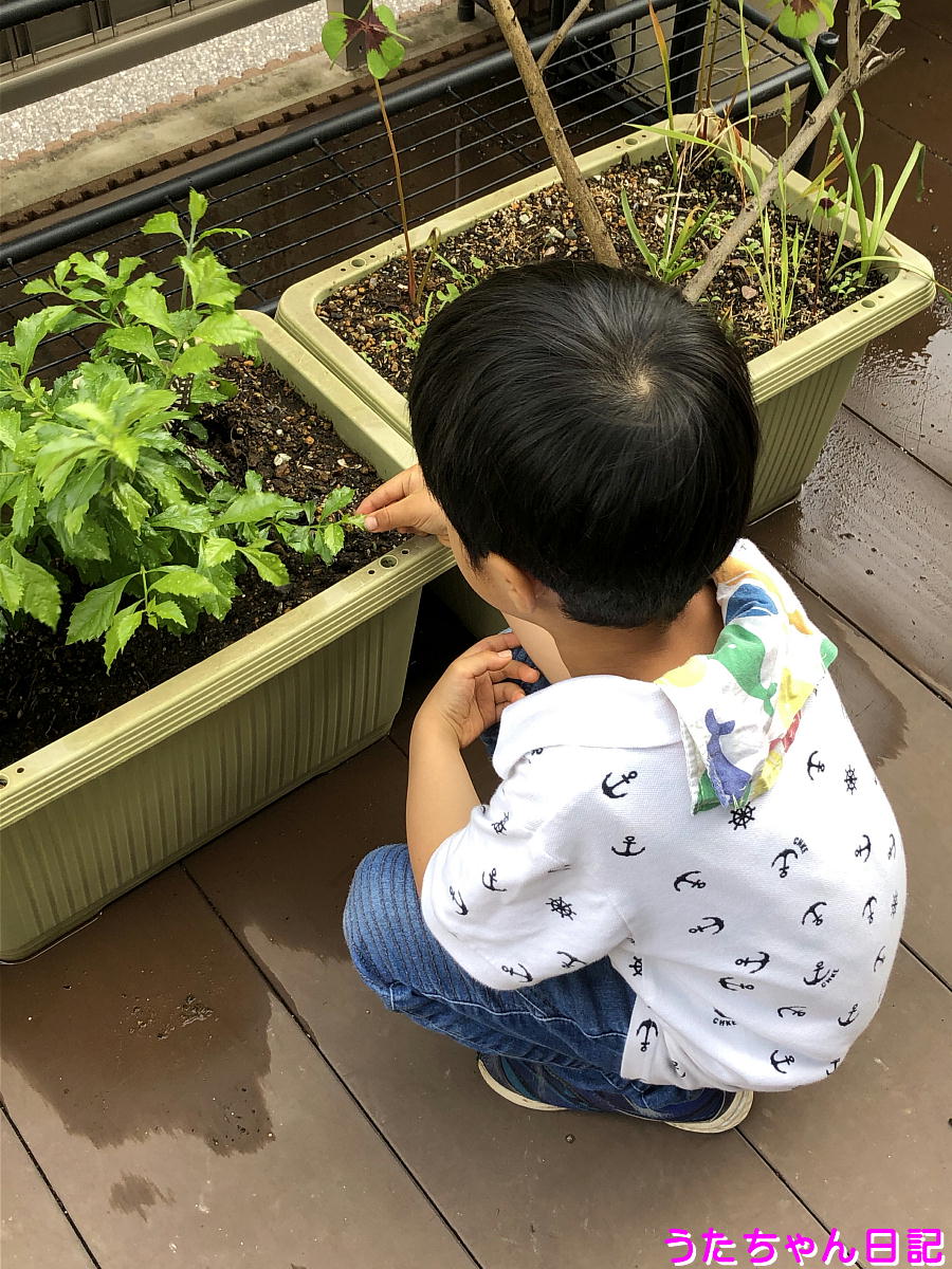 f:id:utachan0831:20210803025115j:plain