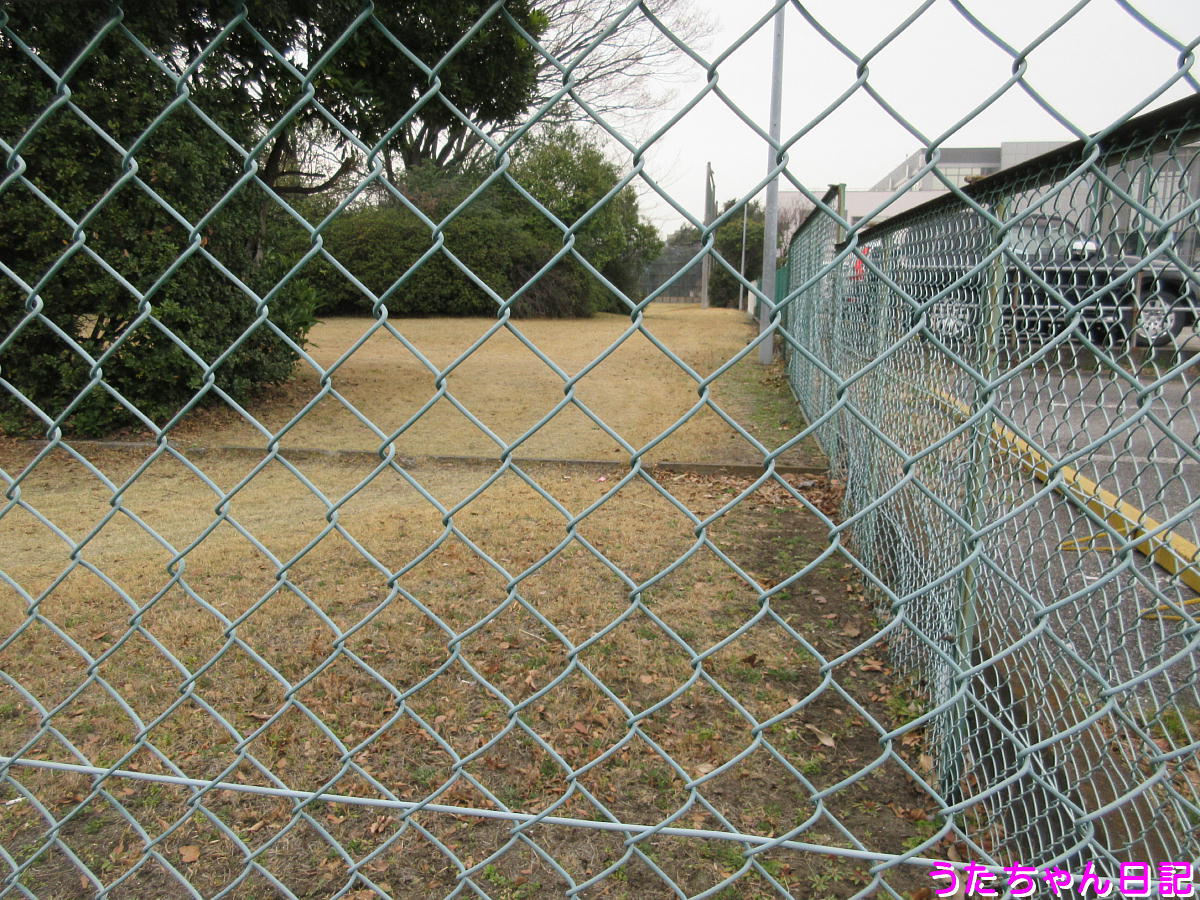 f:id:utachan0831:20210806002626j:plain