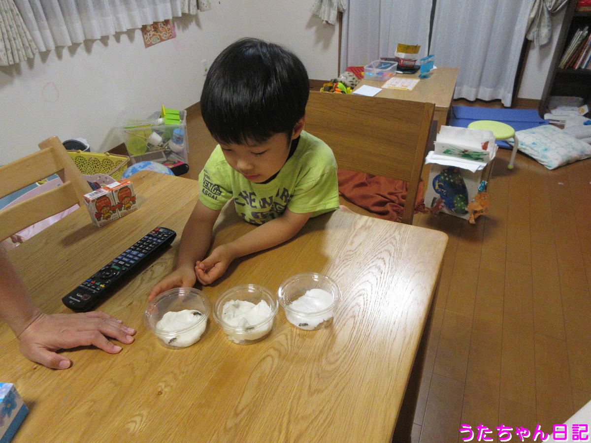 f:id:utachan0831:20210807012150j:plain