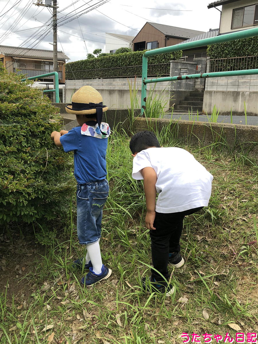 f:id:utachan0831:20210812113357j:plain