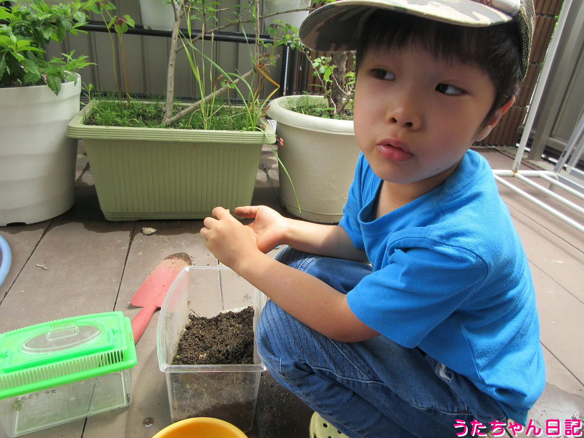 f:id:utachan0831:20210814122540j:plain