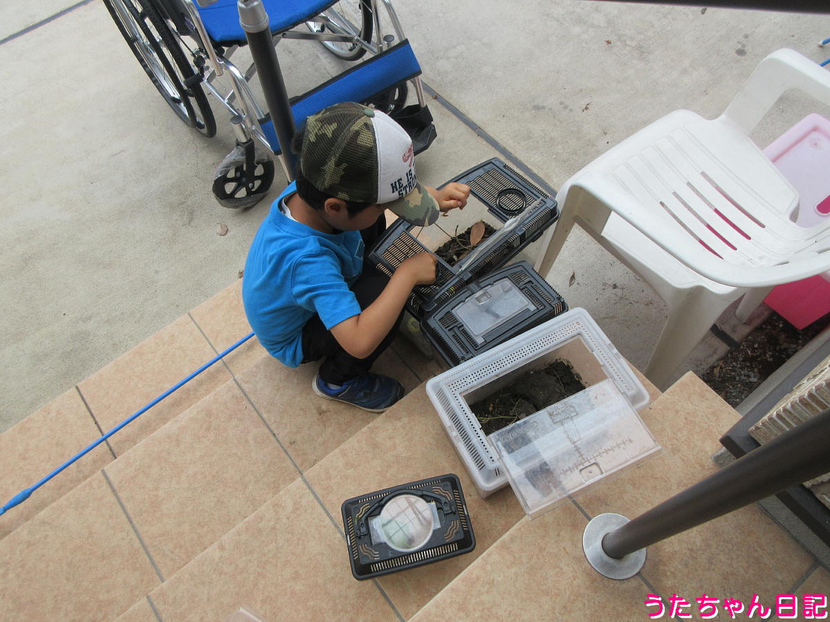 f:id:utachan0831:20210814122734j:plain