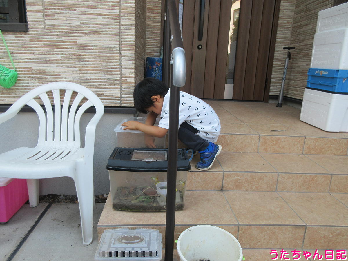 f:id:utachan0831:20210816130733j:plain