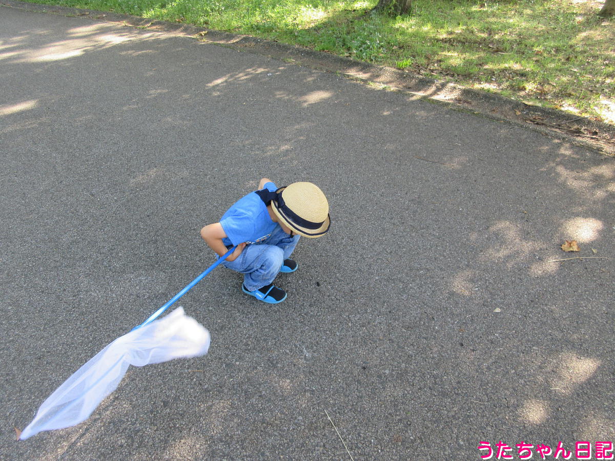 f:id:utachan0831:20210817220933j:plain