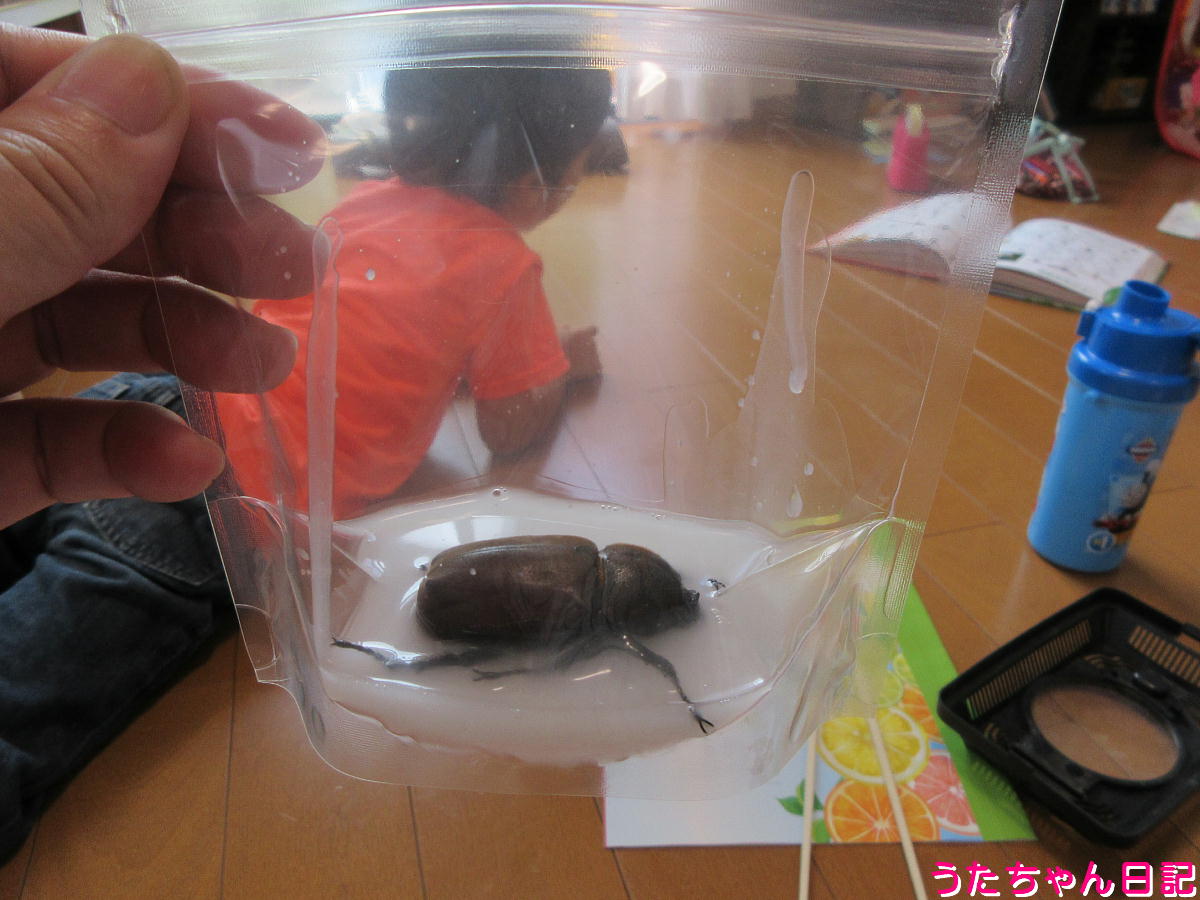 f:id:utachan0831:20210817222648j:plain