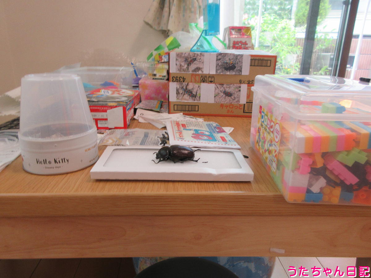f:id:utachan0831:20210817222659j:plain