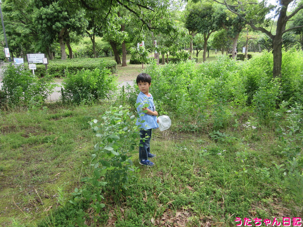 f:id:utachan0831:20210818105448j:plain
