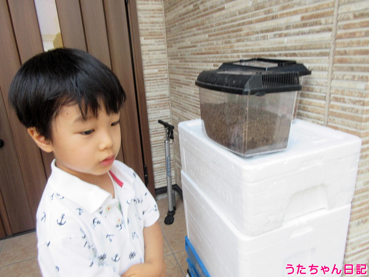 f:id:utachan0831:20210818105503j:plain