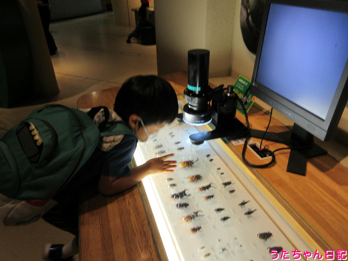 f:id:utachan0831:20210820222935j:plain