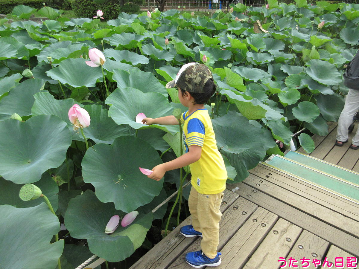 f:id:utachan0831:20210823222017j:plain