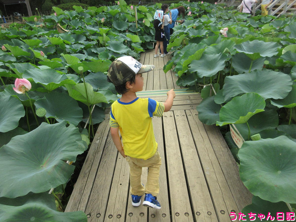 f:id:utachan0831:20210823222025j:plain