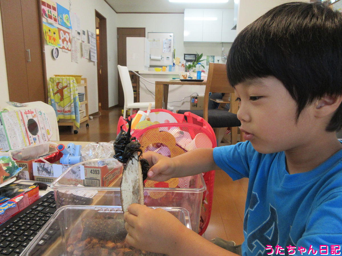 f:id:utachan0831:20210828110718j:plain