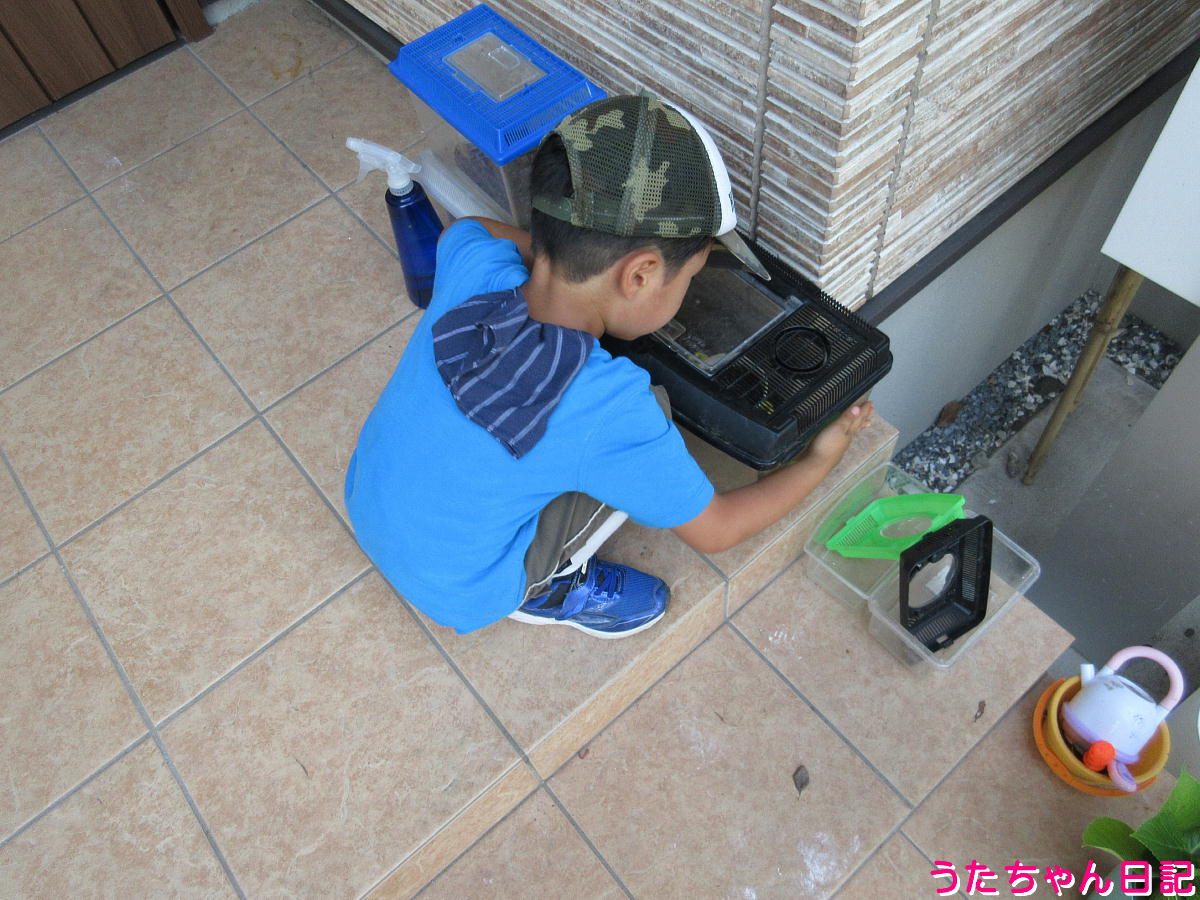 f:id:utachan0831:20210828110800j:plain