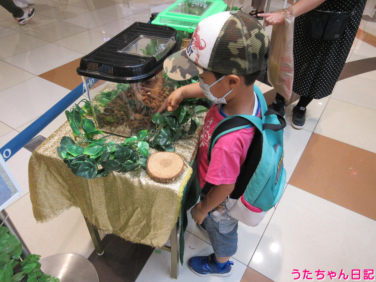 f:id:utachan0831:20210917095511j:plain