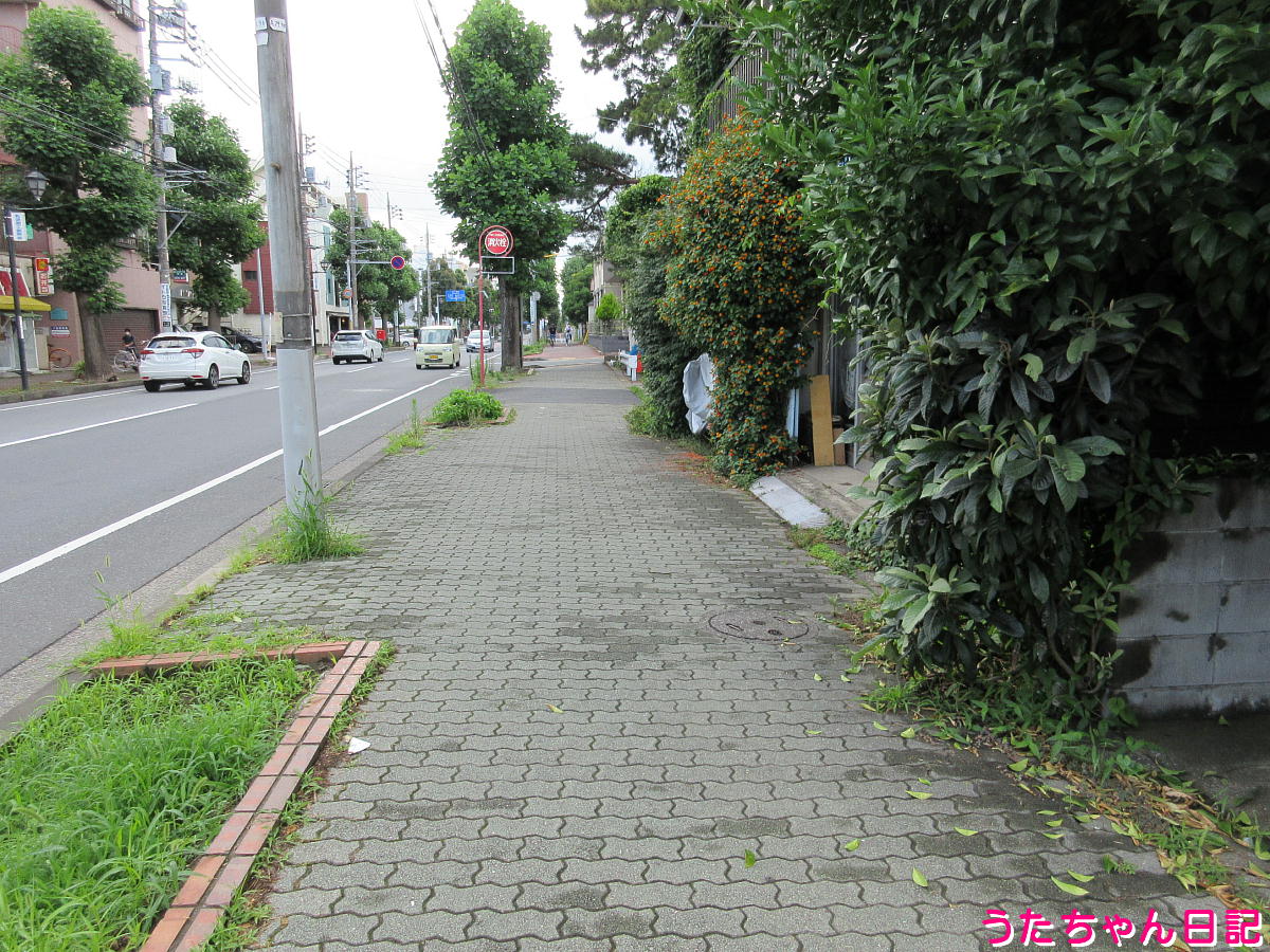 f:id:utachan0831:20211005130840j:plain