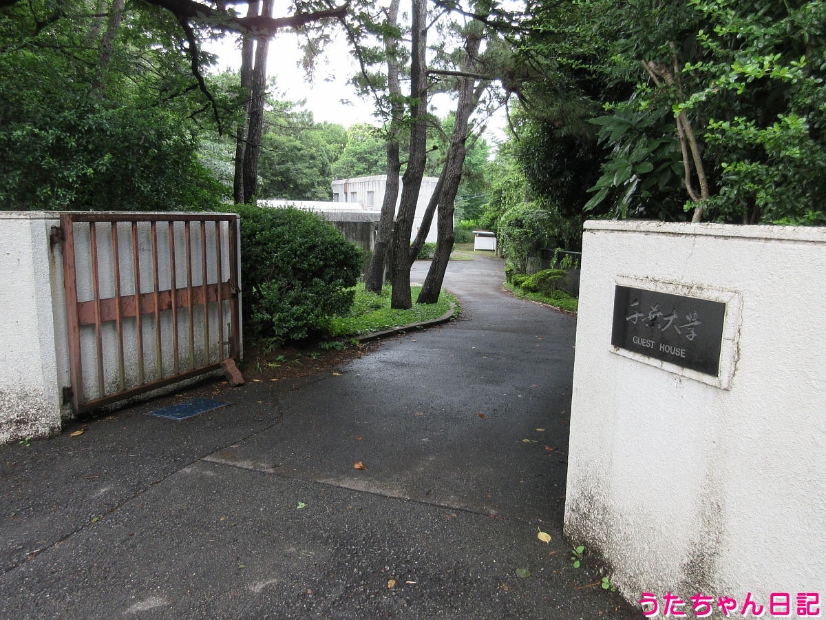 f:id:utachan0831:20211009204313j:plain